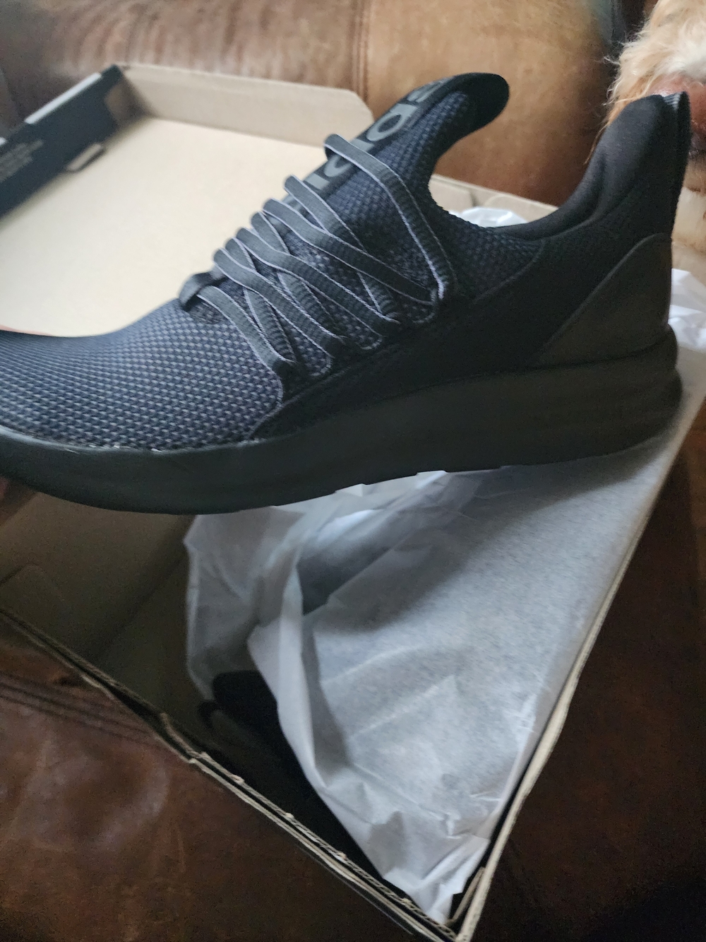 adidas Men's Black Low-Top Athletic Trainers